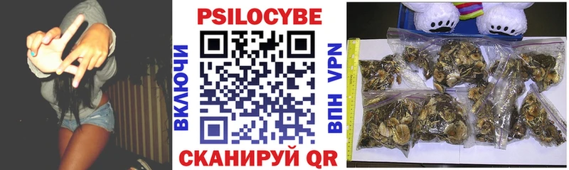 ОМГ ОМГ онион Петухово Псилоцибиновые грибы Cubensis хочу наркоту